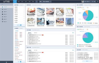 上海互聯(lián)網(wǎng)軟件集團(tuán) 以高端協(xié)同管理軟件與咨詢(xún)服務(wù)引領(lǐng)基礎(chǔ)軟件服務(wù)創(chuàng)新